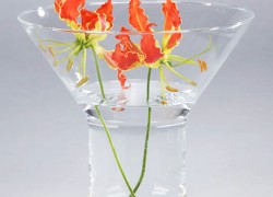 Duif's Florist articles Glas