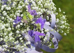 Gips Arrangement gefotografeerd door Joop Gijsbers Bloemen en Planten Fotograaf